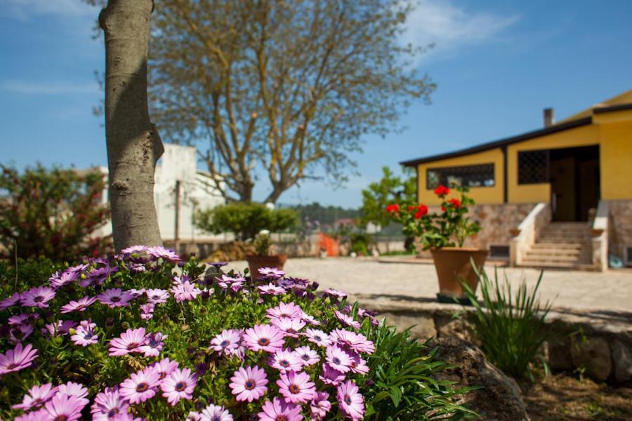 Villa Marida Gioia Del Colle Bagian luar foto